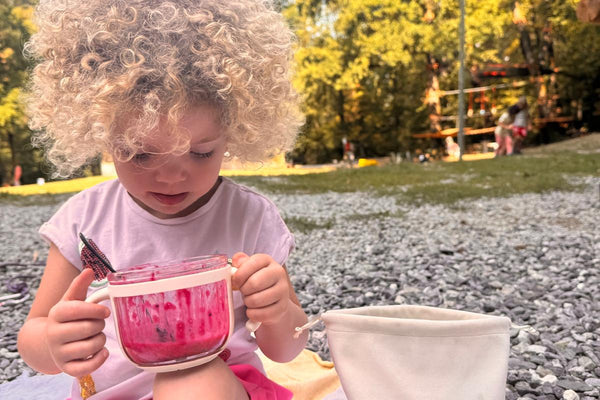 purée fait maison en voyage