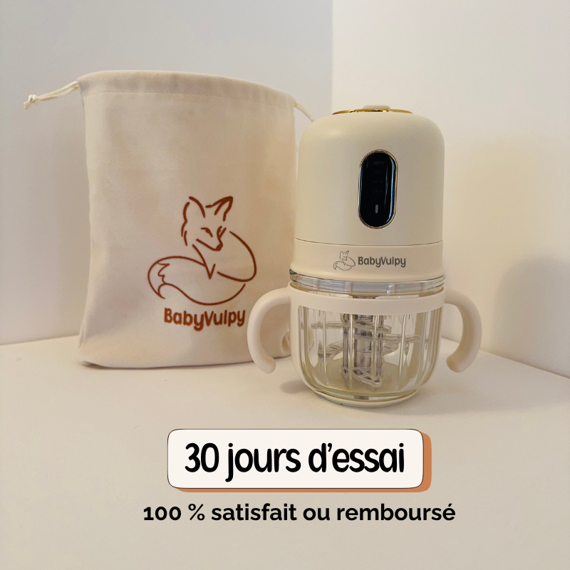 Mixeur Bébé portable sans fil