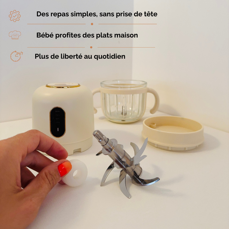 Mixeur Bébé portable sans fil