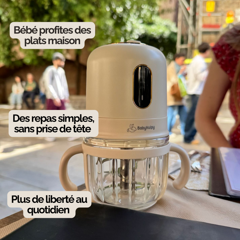 Mixeur Bébé portable sans fil