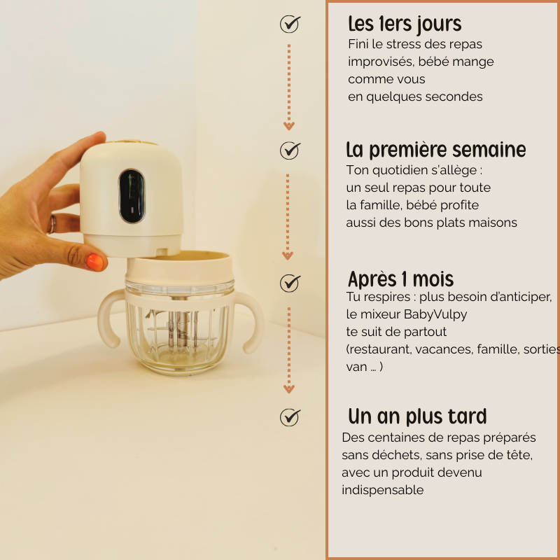 Mixeur Bébé portable sans fil