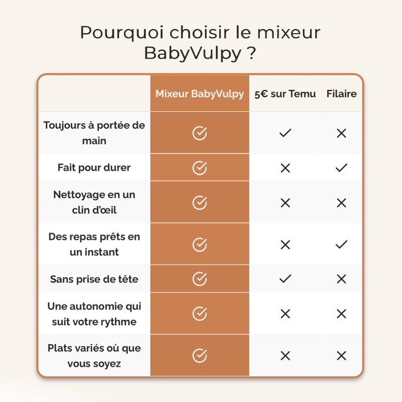 Mixeur Bébé portable sans fil