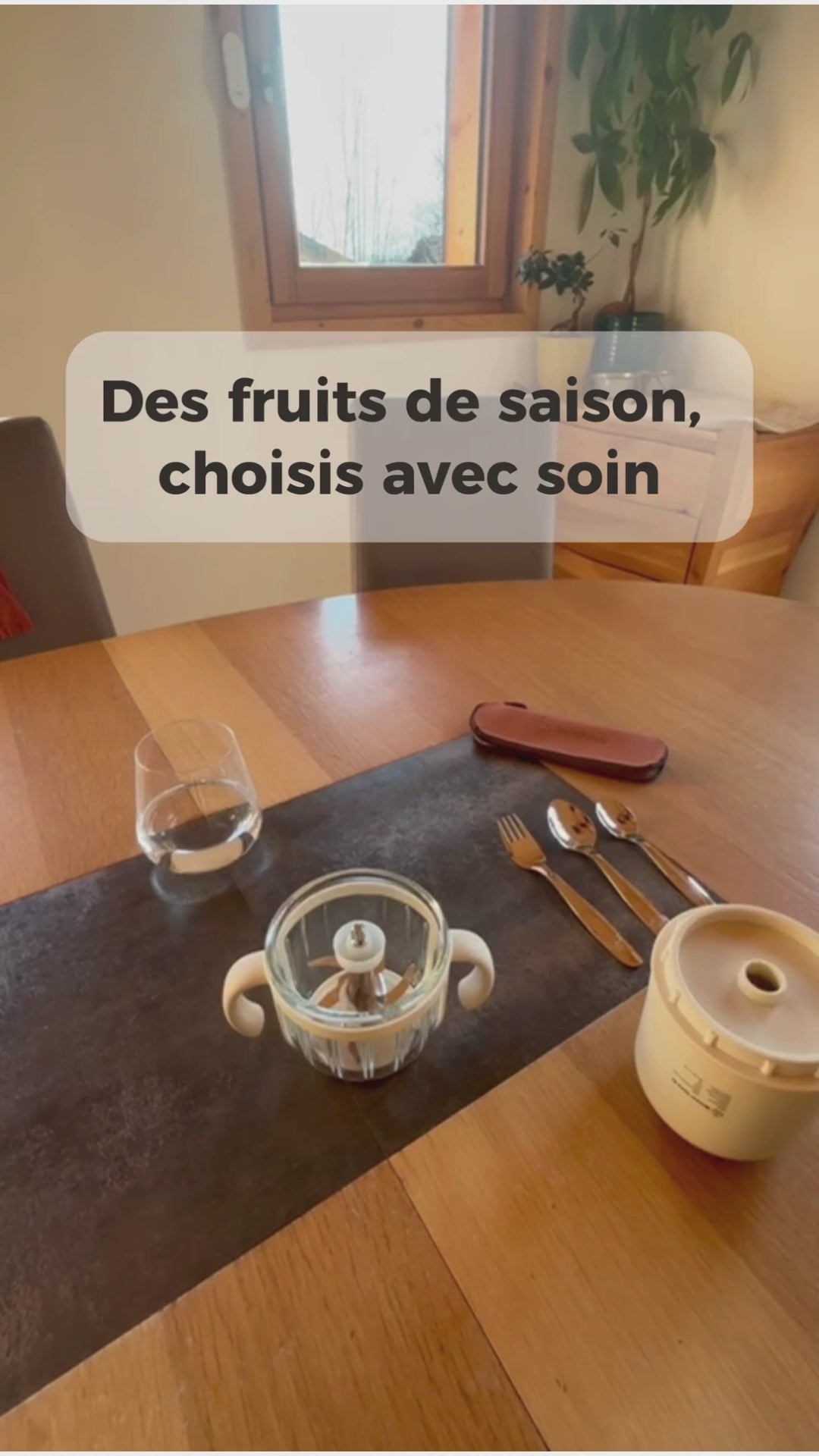 Compote facile fait maison pour bébé 