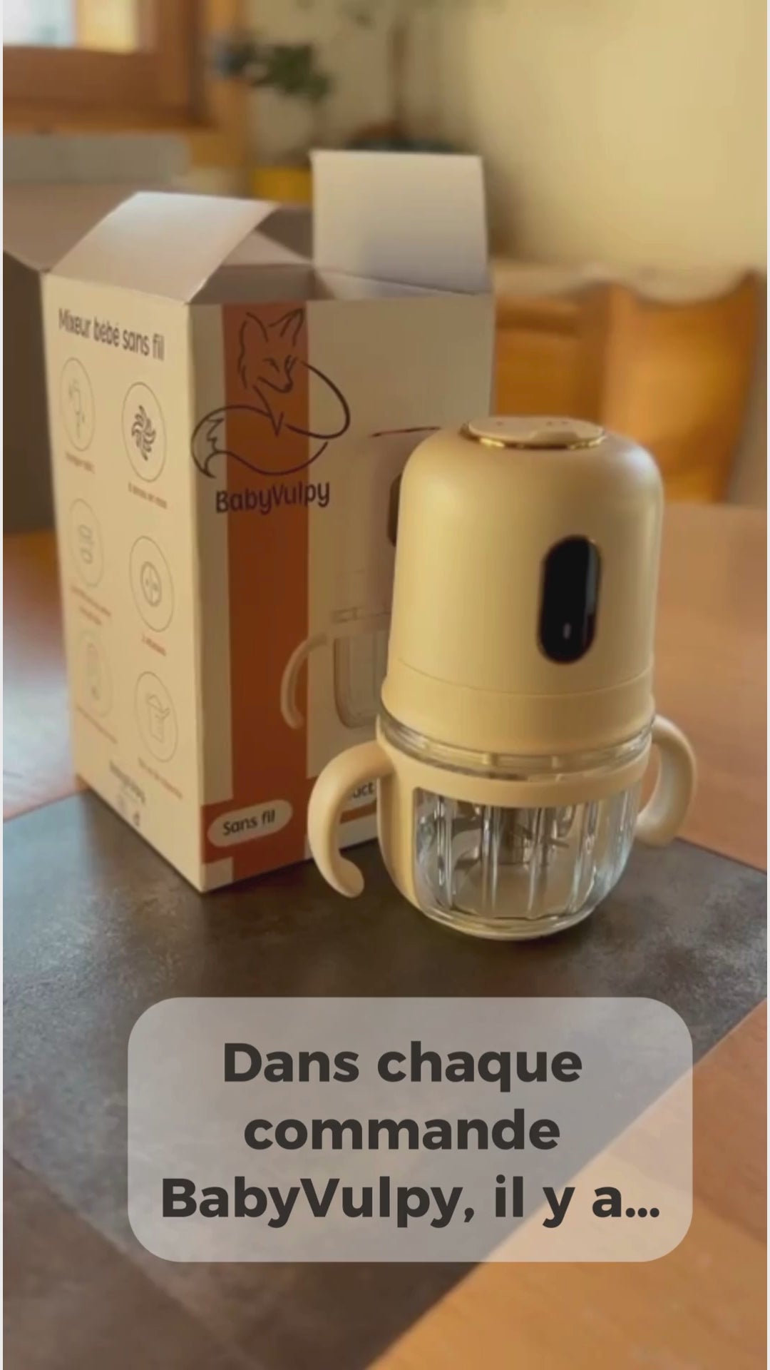 ce qui est livré avec le mixeur nomade